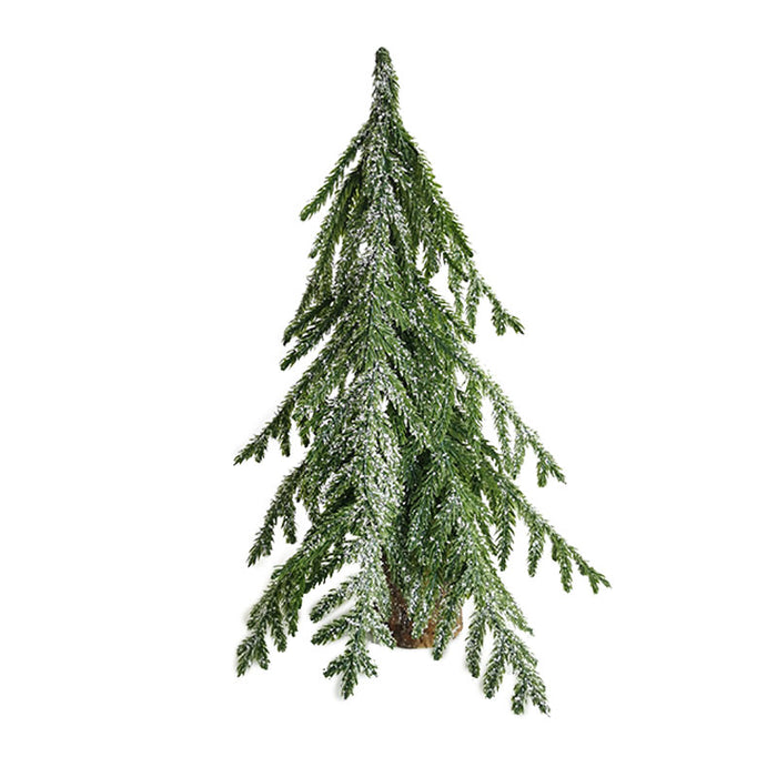 15" Weeping Cedar Tree