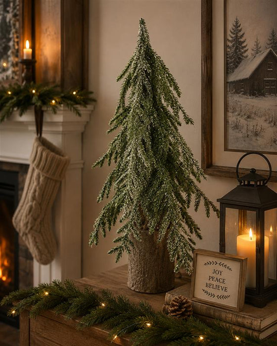 15" Weeping Cedar Tree