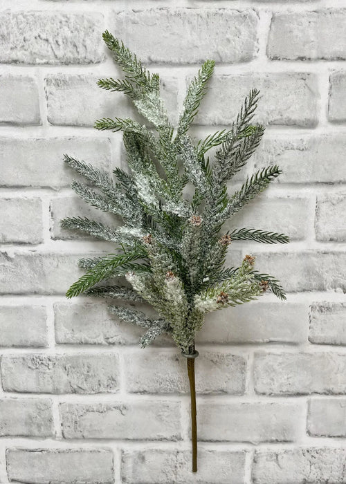 20.5" Fresh Touch Frosted Norfolk Pine Spray