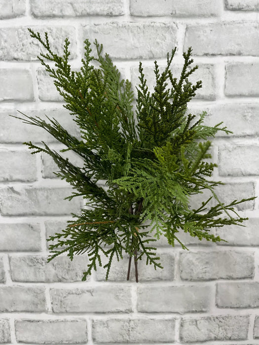 16" Fresh Touch Northern White Cedar Bundle