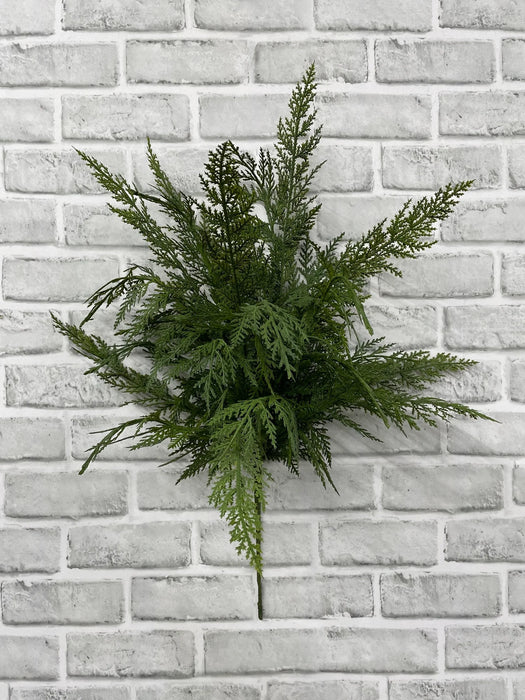 24" Fresh Touch Cypress Bush