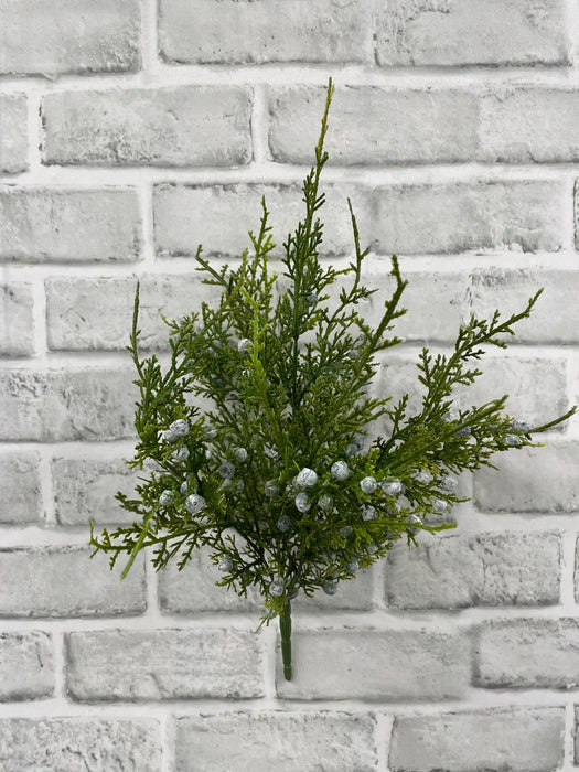 14.5" Oregon Juniper Bush