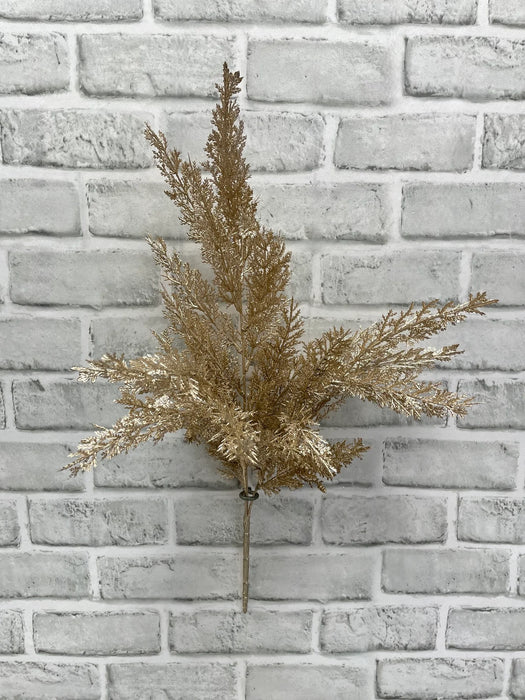 21" Champagne Cedar Bush