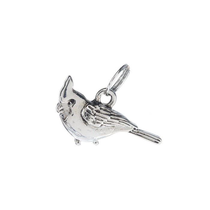 5" Acrylic Cardinal Ornament with Removeable Charm