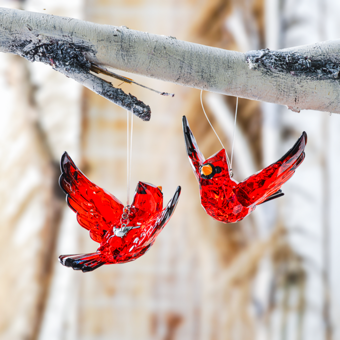 5" Acrylic Cardinal Ornament with Removeable Charm