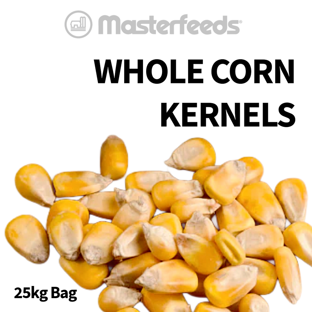 Whole Kernel Corn- 25kg — Berry Hill
