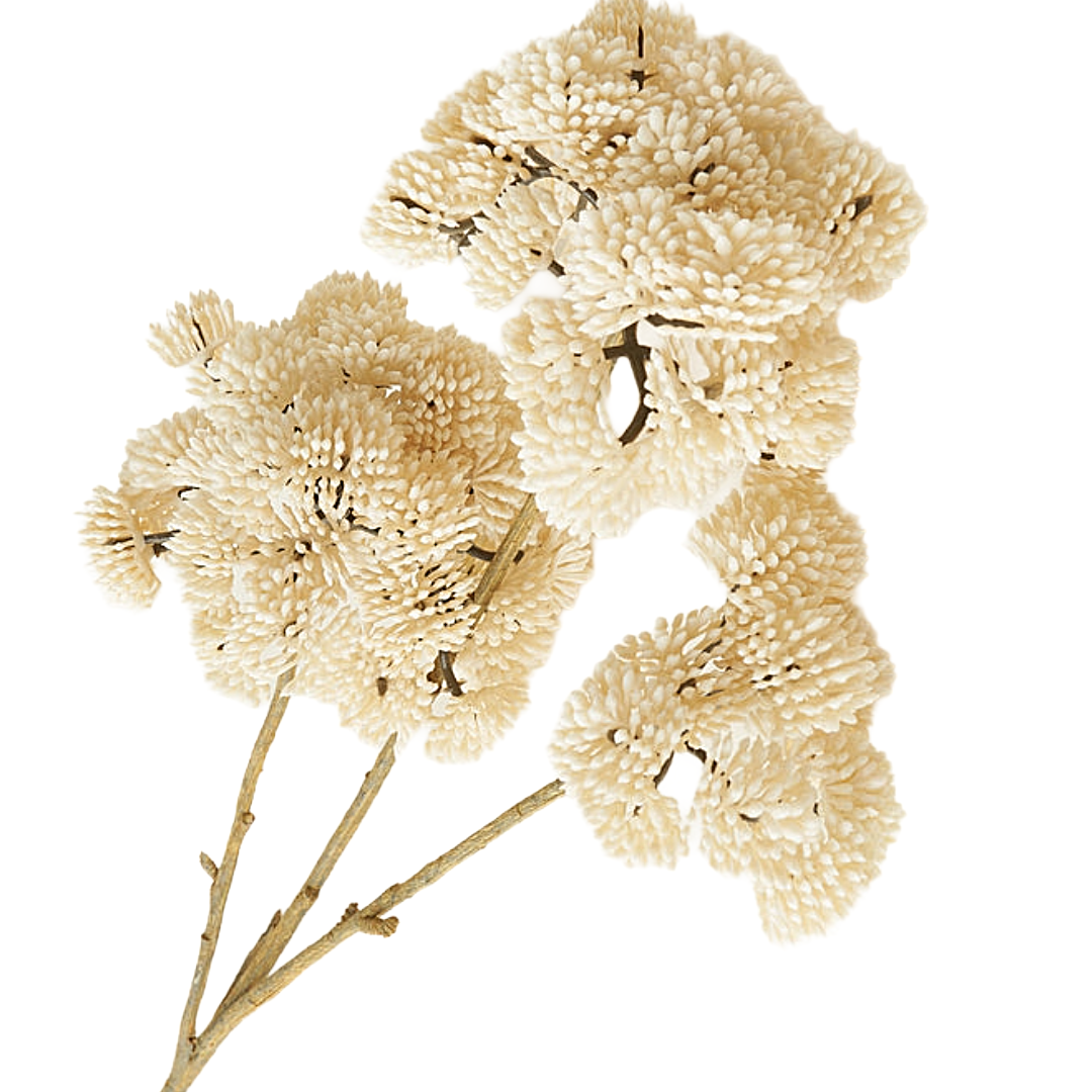 Pom Pom Cream Floral Spray — Berry Hill