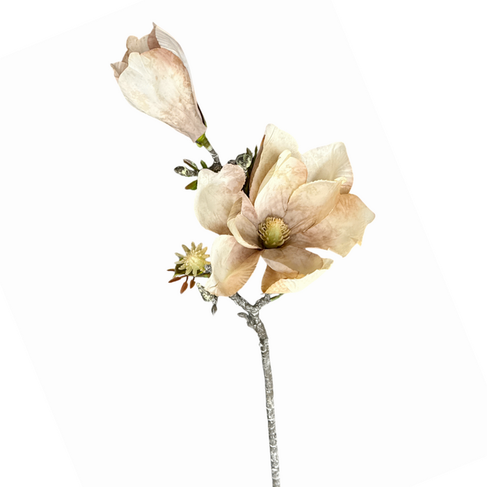 24" Magnolia Branch - Cream