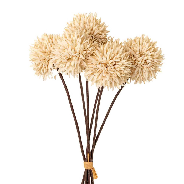 Mini Allium Bouquet - Cream