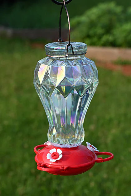 Glass Hummingbird Feeder - Iridescent