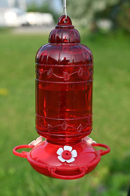 Antique Glass Hummingbird Feeder - Ruby