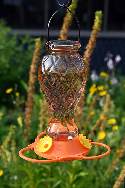 Glass Oriole Feeder - Jewel