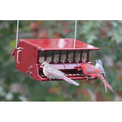 Absolute® Squirrel Resistant Red "Bird's Delight" Feeder - WoodlinkBerry Hill - Country Living Products