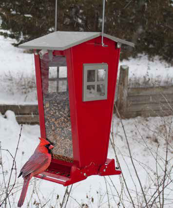Snack Shack 7 lbs. Squirrel-Resistant Feeder - AudubonBerry Hill - Country Living Products