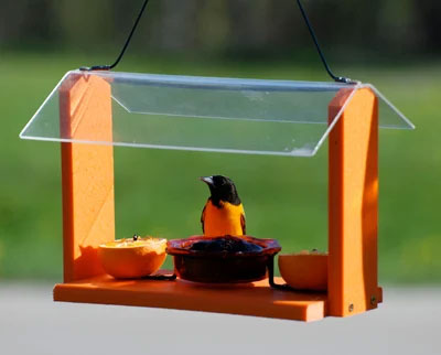 Going Green Deluxe Oriole Feeder - WoodlinkBerry Hill - Country Living Products