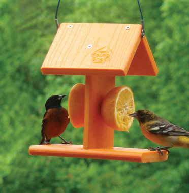 Going Green Oriole Feeder with Fruit Spikes - AudubonBerry Hill - Country Living Products