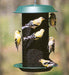 5 lbs. Plastic Magnum Nyjer Screen Feeder - AudubonBerry Hill - Country Living Products