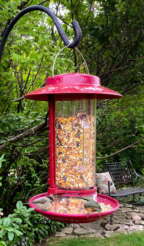 1.5 lbs. Combination Hopper/Seed Scoop Feeder - AudubonBerry Hill - Country Living Products