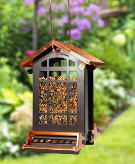 CopperTop® Chateau Squirrel-Resistant Feeder - CopperTopBerry Hill - Country Living Products