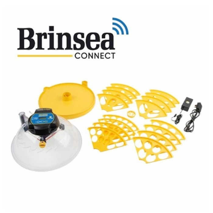 Brinsea Maxi 'CONNECT' 24 EX With Humidity Control