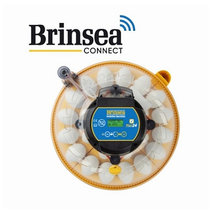 Brinsea Maxi 'CONNECT' 24 EX With Humidity Control