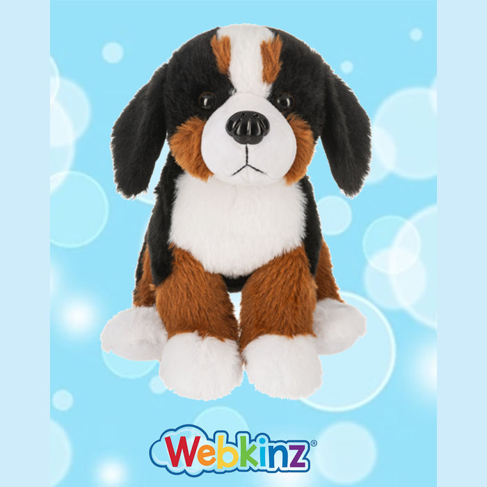 Webkinz - Bernese Mountain Dog