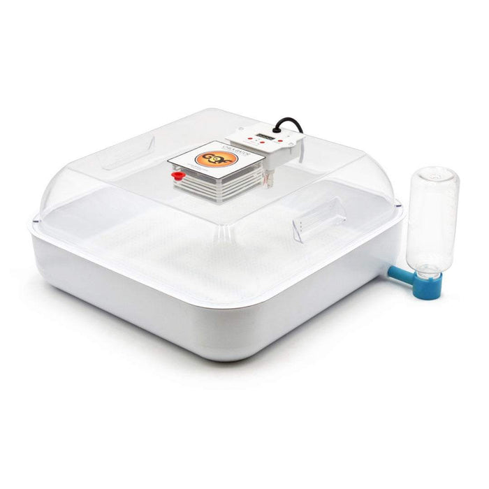 GQF Chick-Bator Incubator with clear top, temperature display, and auto-fill water tank for uniform egg incubation