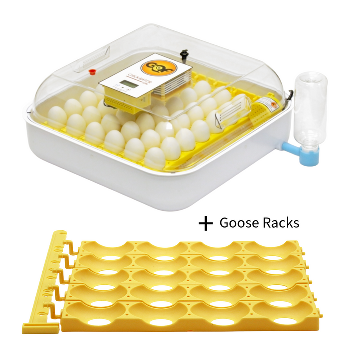 GQF Chick-Bator CL with Chicken and Goose Turner