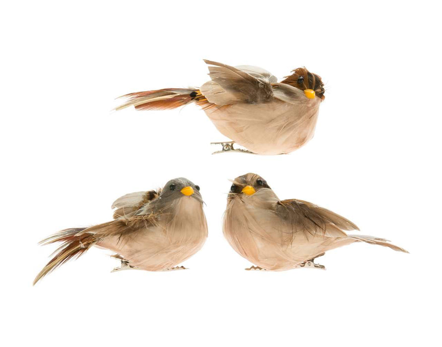 5.5" Little Brown Bird Feather Ornament on Clip