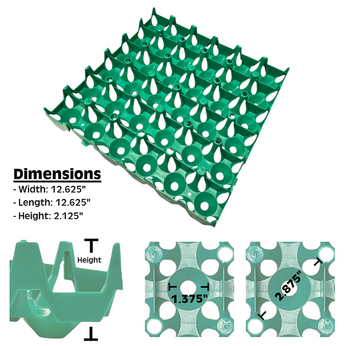 Plastic Chicken Egg Tray - 36 egg capacity