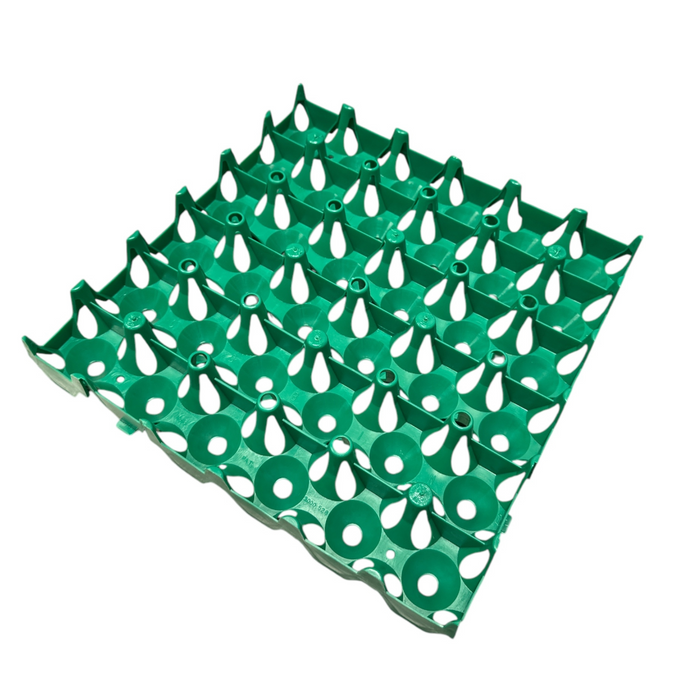 Plastic Chicken Egg Tray - 36 egg capacity