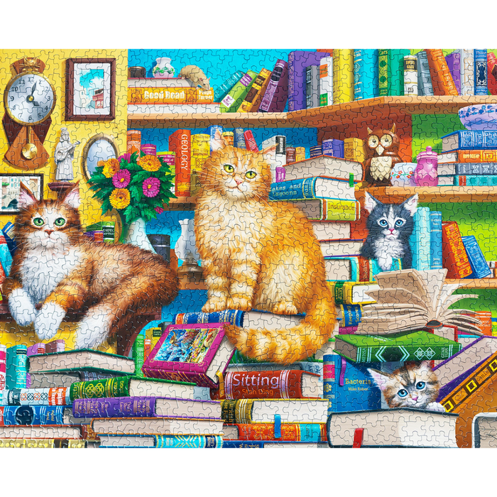 Bookshop Cats - 1000 Piece Puzzle