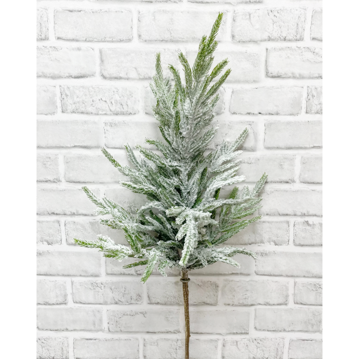29" Snowy Norfolk Pine Spray