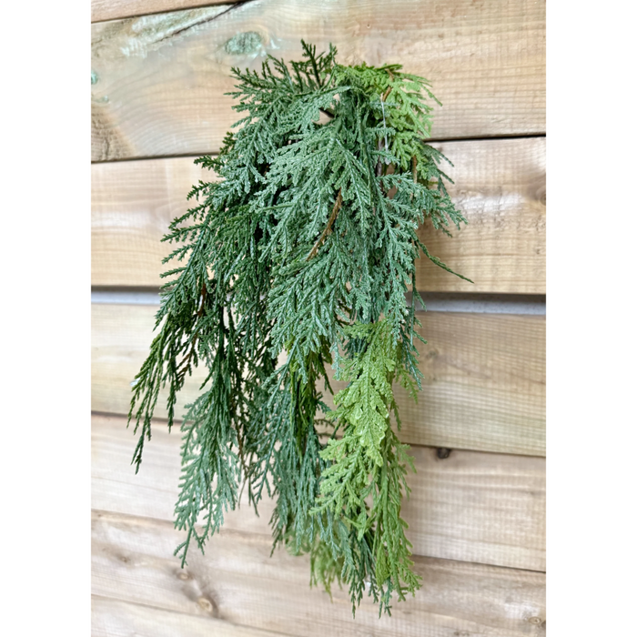 29" Fresh Touch Northern White Cedar Hanging Bush