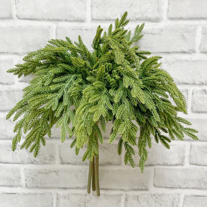 17" Fresh Touch Norfolk Island Pine - Bundle of 3