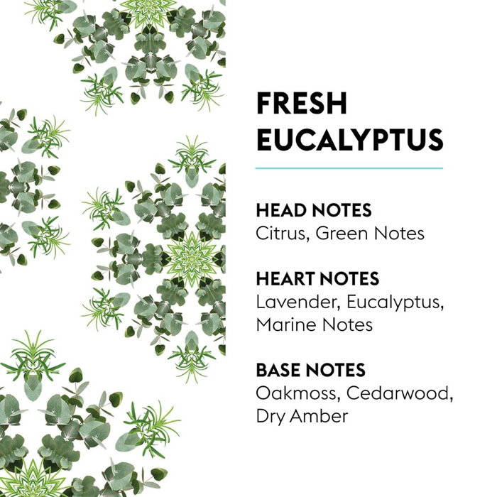 Lampe Berger Refill - Fresh Eucalyptus 500ml