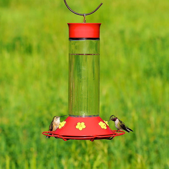 Hummingbird Feeder 30oz Glass