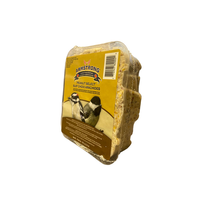 Suet Block - Peanut Select