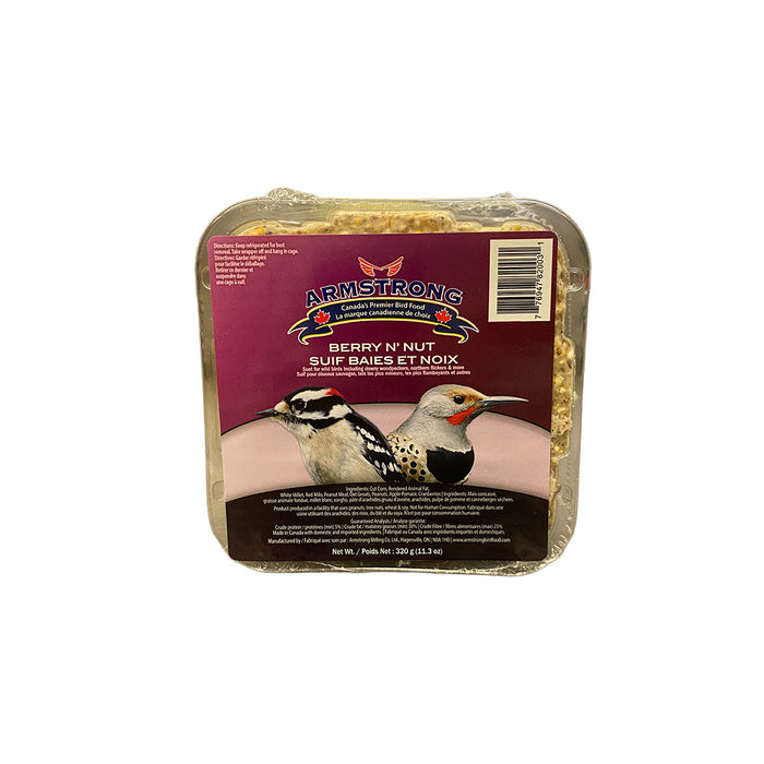 Suet Block - Berry N' Nut