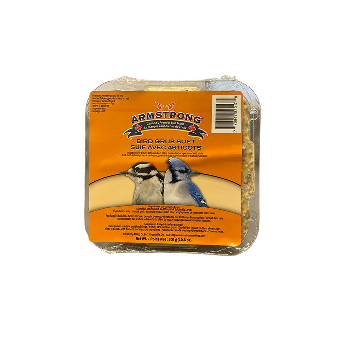 Suet Block - Bird Grub