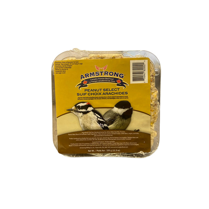Suet Block - Peanut Select