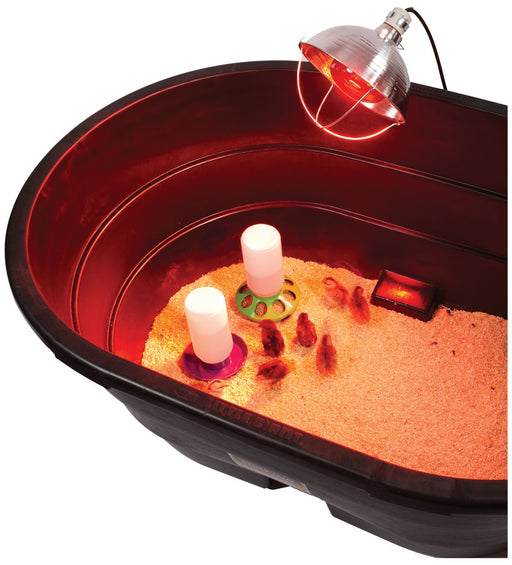 Hanging Brooder Lamp - Berry Hill - Country Living Products