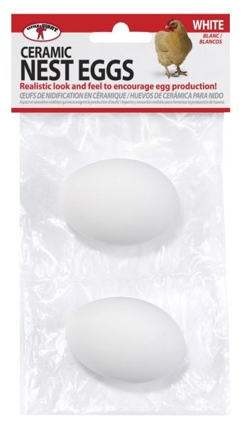 Ceramic Chicken Eggs - White - Berry Hill - Country Living Products