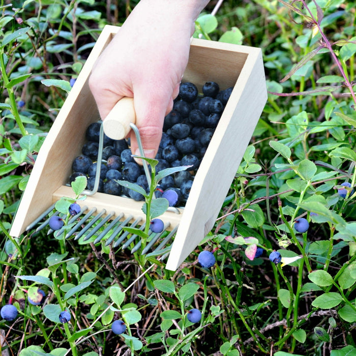 Berry Picker - Berry Hill - Country Living Products
