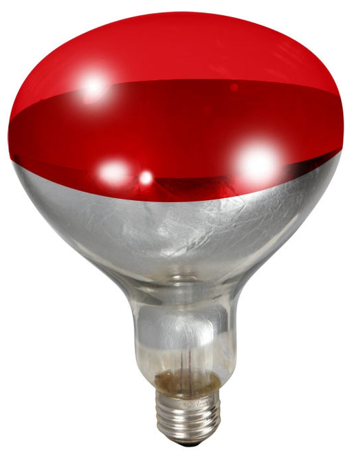 Heat Bulb - Red 250watt - Berry Hill - Country Living Products