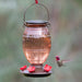 Prohibition Top-Fill Glass Hummingbird Feeder 36oz - Berry Hill - Country Living Products