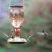 Sugar Maple Top-Fill Hummingbird Feeder 24 oz - Berry Hill - Country Living Products