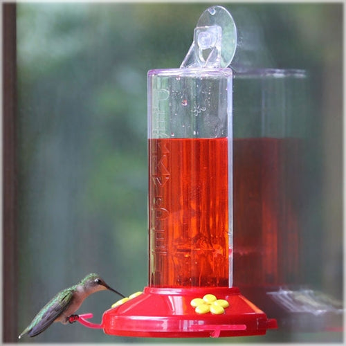 Hummingbird Feeder - Window Mounted Plastic - Berry Hill - Country Living Products