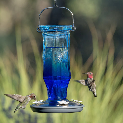 Sapphire Starburst Vintage Hummingbird Feeder 16 OZ - Berry Hill - Country Living Products