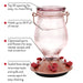 Rose Gold Top-Fill Glass Hummingbird Feeder 24 oz - Berry Hill - Country Living Products